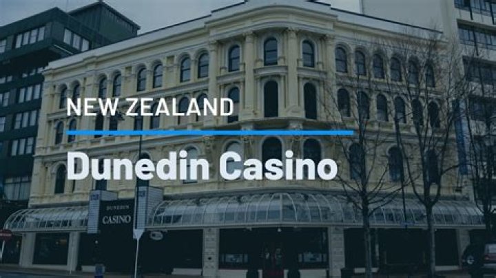 How to Choose The Best Online Casino in New Zealand 
