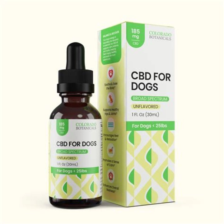 Reasons Why You Should Give CBD Oil for Dogs
